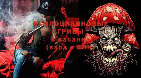 MDMA Белокуриха
