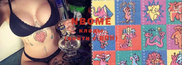 стаф Богданович